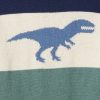 Baby & Småbarn Dino Crewneck tröja