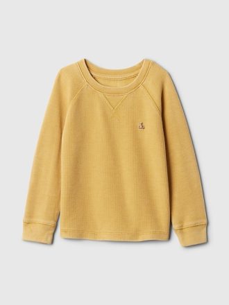 Baby & Texturerad Raglan T-shirt för småbarn