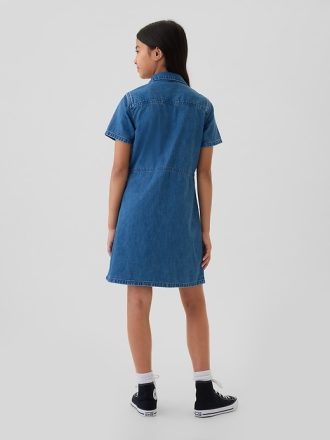 Barn Cargo Denim Shirtdress