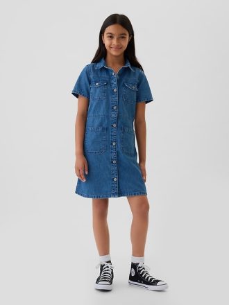Barn Cargo Denim Shirtdress