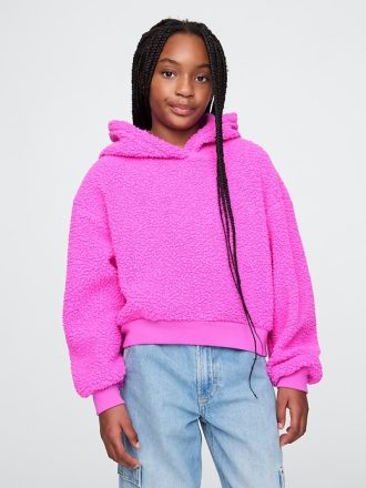 Barn Sherpa Cropped Hoodie