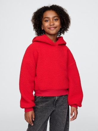 Barn Sherpa Cropped Hoodie