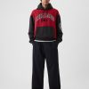 Chicago Logo Colorblock Hoodie