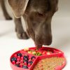 Dog Lick Mat
