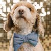 Glitter Dog Babe rosett och halsband