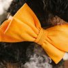 Glitter Dog Babe rosett och halsband