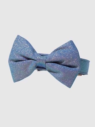Glitter hundfluga och krage