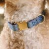 Glitter hundhalsband