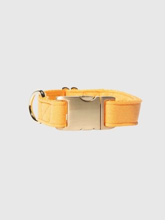 Glitter hundhalsband