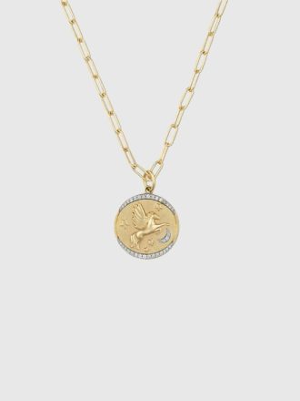 HART Cosmic Cowgirl Halsband