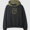 Heavyweight Colorblock Varsity Logo Hoodie
