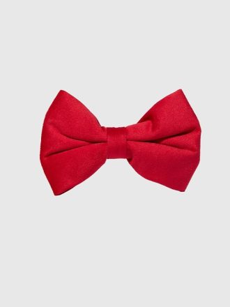 Hundfluga i sammet