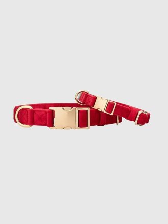 Hundhalsband i sammet