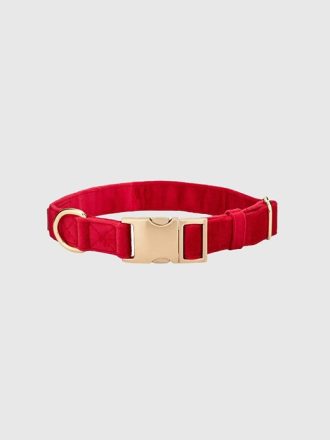 Hundhalsband i sammet