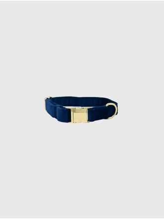 Hundhalsband i sammet