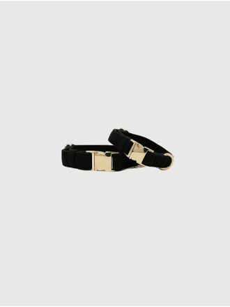 Hundhalsband i sammet