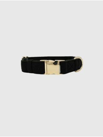 Hundhalsband i sammet