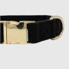 Hundhalsband i sammet