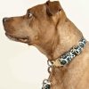 Hundhalsband med tryckt tyg
