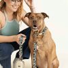 Hundhalsband med tryckt tyg