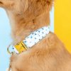 Hundhalsband med tryckt tyg
