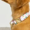 Hundhalsband med tryckt tyg