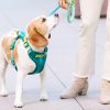 Hundsele i ultrakomfort neopren