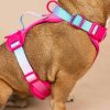 Hundsele i ultrakomfort neopren
