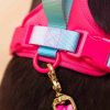 Hundsele i ultrakomfort neopren