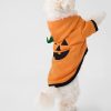 Husdjur Halloween kostym