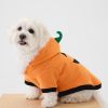 Husdjur Halloween kostym