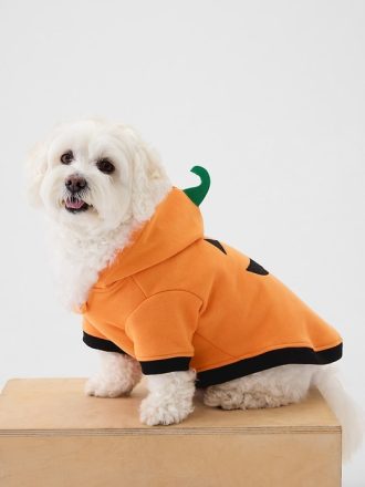 Husdjur Halloween kostym