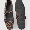 Leopardbalettlägenheter