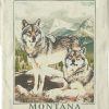 Montana Wolves grafisk utslagsplats