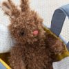 Moppettes Beau Bunny Uppstoppade djur Bassinet och kudde