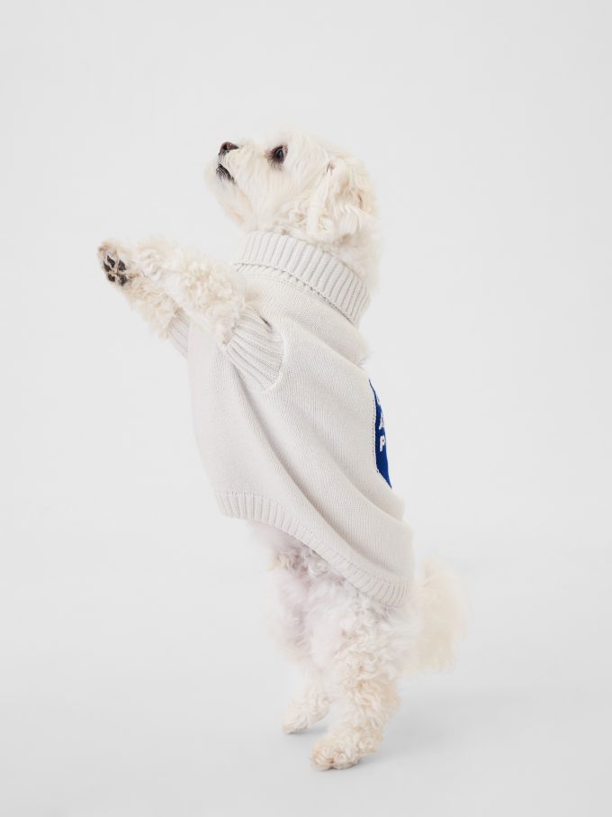 Pet Varsity tröja