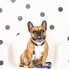 Rep Ekologisk bomull hundkoppel