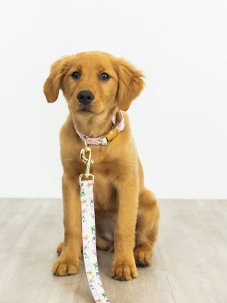 Tryckt tyg hundkoppel