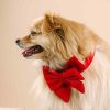 Velvet Dog Babe Bow