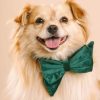 Velvet Dog Babe Bow