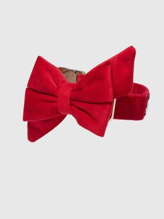 Velvet Dog Babe rosett och halsband
