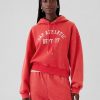Vintage Soft Cropped Hoodie