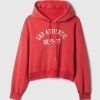 Vintage Soft Cropped Hoodie