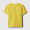 babyGap Henley T-shirt