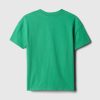 babyGap Henley T-shirt
